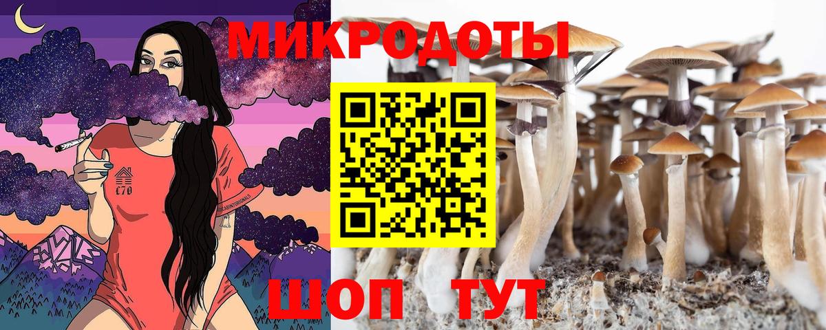 Псилоцибиновые грибы Psilocybe Дзержинск