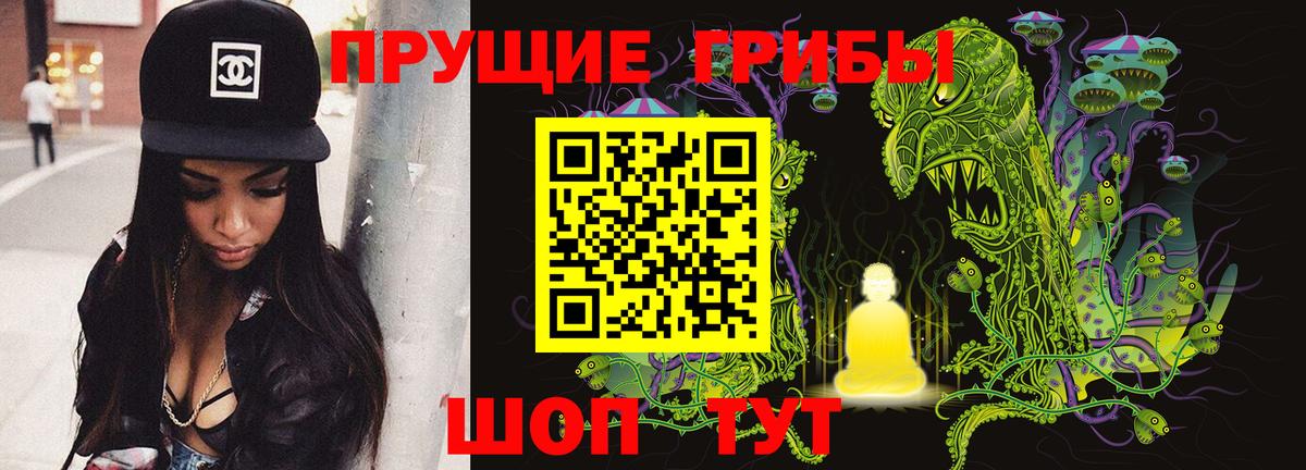 Дзержинск  Галлюциногенные грибы GOLDEN TEACHER  Галлюциногенные грибы мицелий  Вход с VPN 